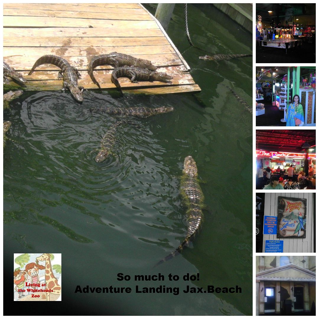 photo AdventureLanding.jpg