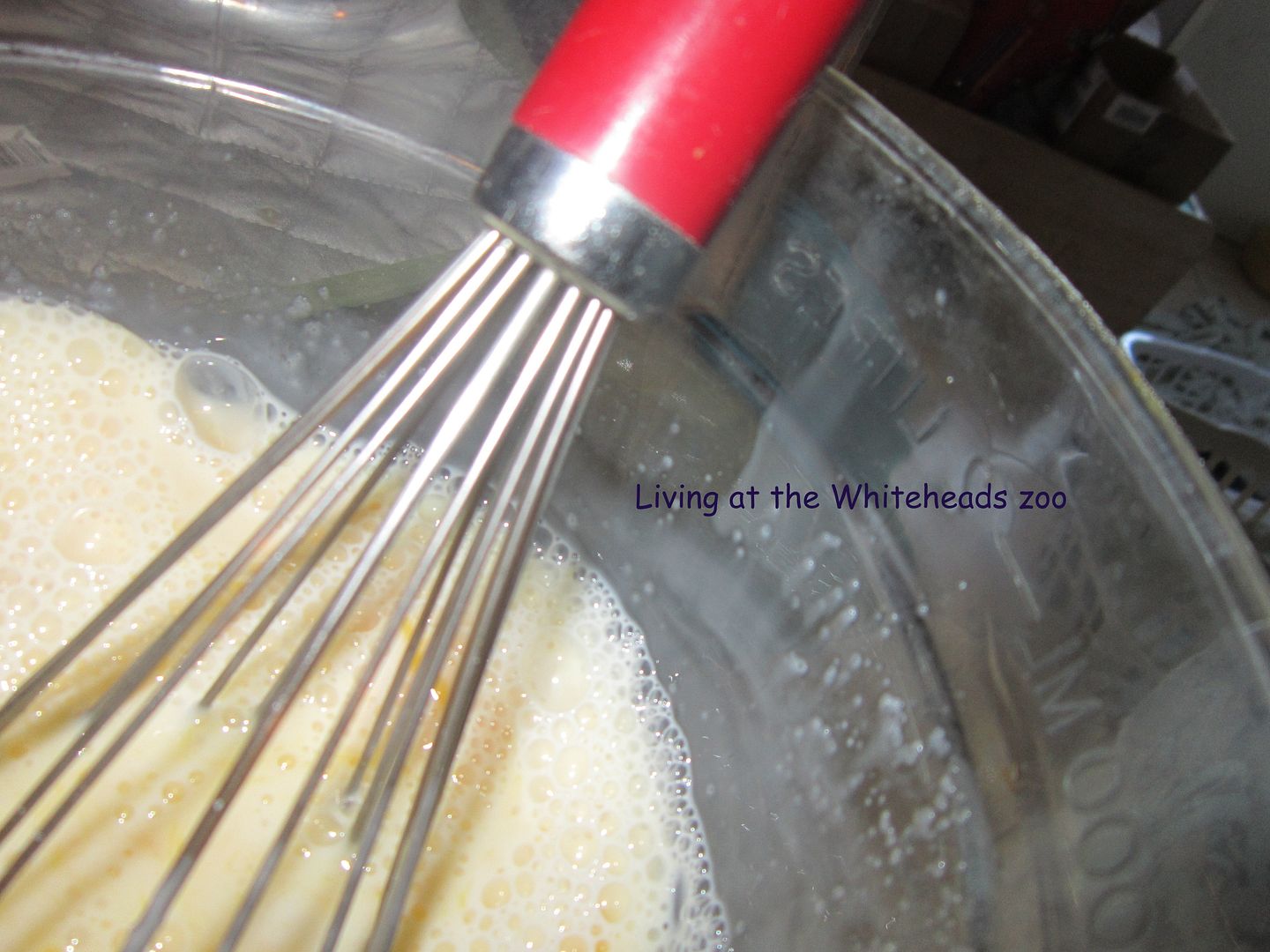 photo IMG_9813a.jpg