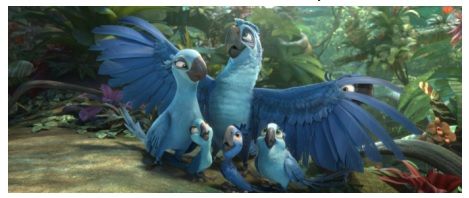 photo rio2c.jpg
