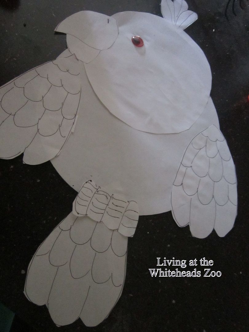 parrot craft photo Parrot3.jpg