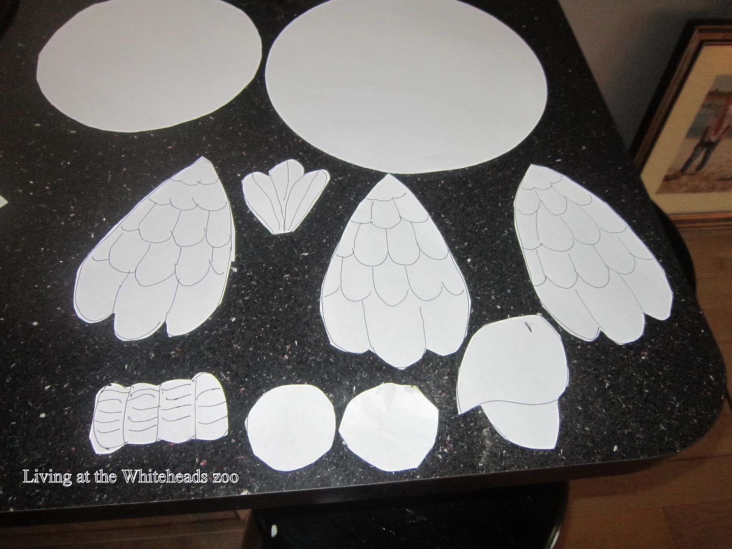 parrotcraftpieces parrotcraftpieces.jpg