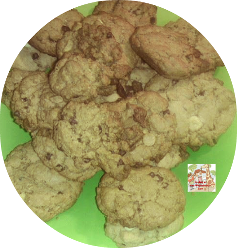 photo chocolatechip2.png
