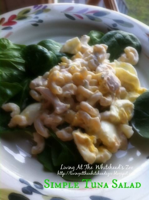 simple tuna salad recipe photo tunasald.jpg