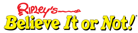 photo unnamed 1.png