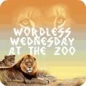 Living At The Whiteheads Zoo