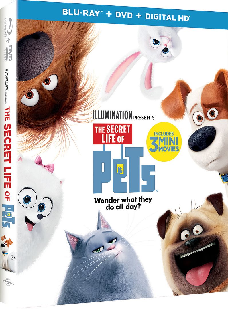 #TheSecretLifeOfPets #TheSecretLifeOfPets photo unnamed_1.jpg