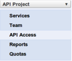 Google API Access