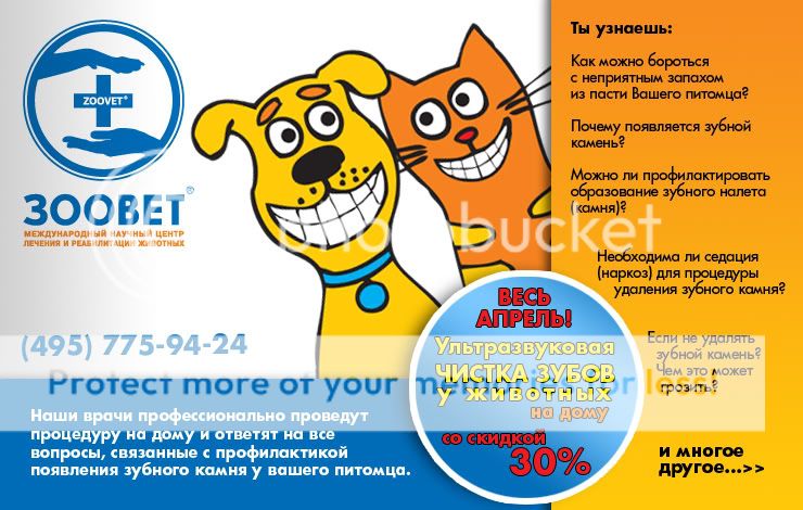 зоовет форум