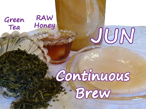 Jun Tea Continuous Brew Deluxe Package Option from Kombucha Kamp