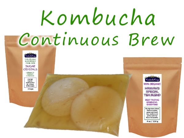Kombucha Continuous Brew from KKamp