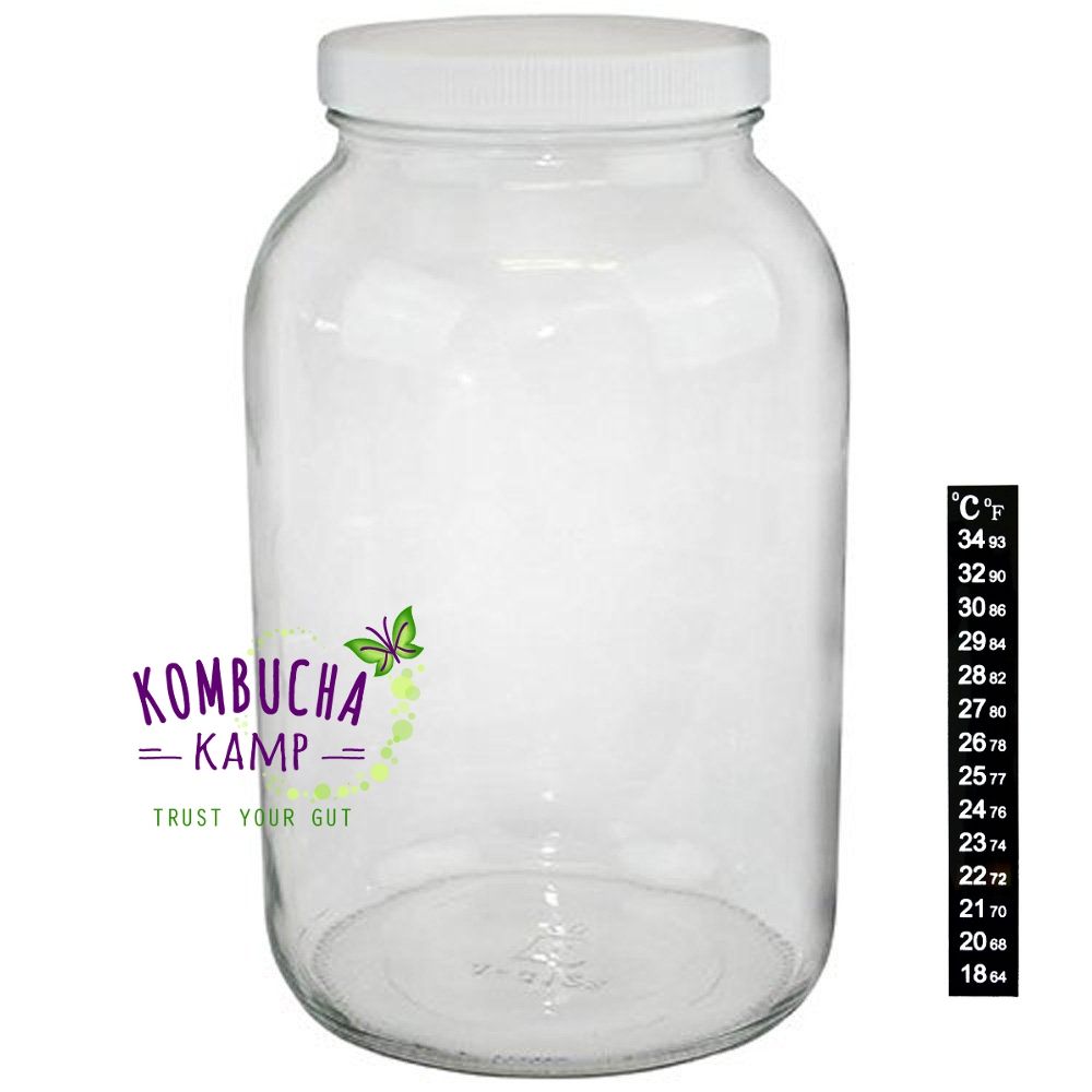 One Gallon Glass Jar USA Made Kombucha Kefir Hotel Brewing from Kombucha Kamp