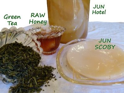 Genuine JUN Tea Cultures from Kombucha Kamp are made from 100% RAW Honey only