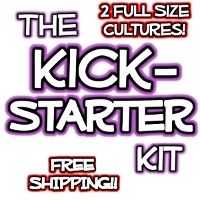 The Kickstarter Kombucha Kit for Continuous Brewing or Batch Brewing